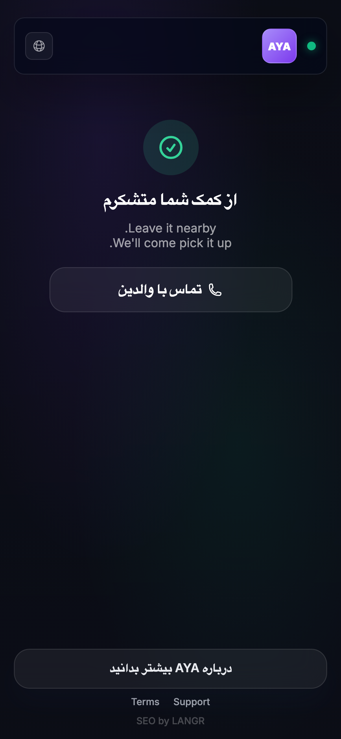 آنچه پیدا کننده می‌بیند